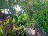 TheGrenadinesCollection