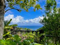 TheGrenadinesCollection