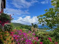 TheGrenadinesCollection