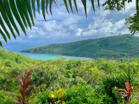 TheGrenadinesCollection