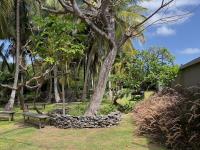 TheGrenadinesCollection