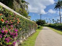 TheGrenadinesCollection