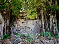 TheGrenadinesCollection