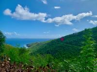 TheGrenadinesCollection