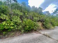 TheGrenadinesCollection