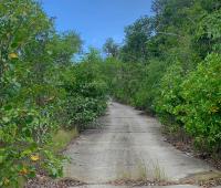 TheGrenadinesCollection