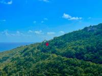 TheGrenadinesCollection