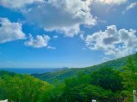 TheGrenadinesCollection