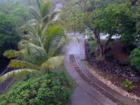 TheGrenadinesCollection