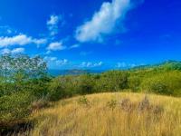 TheGrenadinesCollection