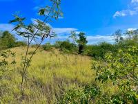 TheGrenadinesCollection