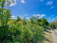 TheGrenadinesCollection