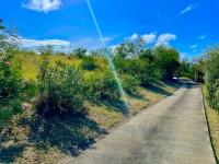 TheGrenadinesCollection