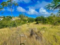 TheGrenadinesCollection