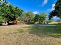 TheGrenadinesCollection