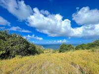 TheGrenadinesCollection