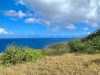 TheGrenadinesCollection