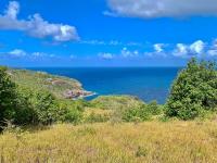 TheGrenadinesCollection