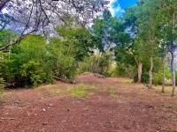 TheGrenadinesCollection