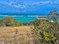 TheGrenadinesCollection