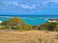 TheGrenadinesCollection