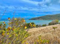 TheGrenadinesCollection