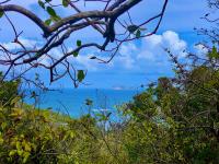 TheGrenadinesCollection