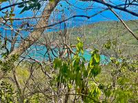 TheGrenadinesCollection