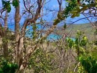 TheGrenadinesCollection