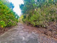 TheGrenadinesCollection