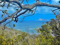 TheGrenadinesCollection