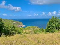 TheGrenadinesCollection