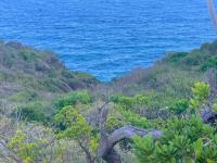 TheGrenadinesCollection