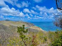 TheGrenadinesCollection