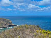 TheGrenadinesCollection