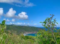 TheGrenadinesCollection