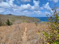 TheGrenadinesCollection