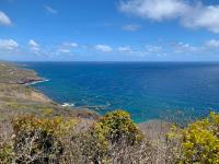 TheGrenadinesCollection