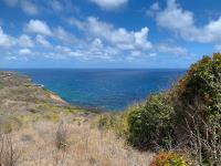 TheGrenadinesCollection