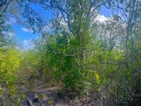 TheGrenadinesCollection