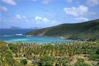 TheGrenadinesCollection