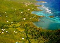 TheGrenadinesCollection