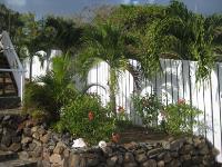 TheGrenadinesCollection