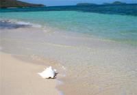 TheGrenadinesCollection