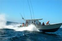 TheGrenadinesCollection