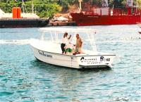 TheGrenadinesCollection