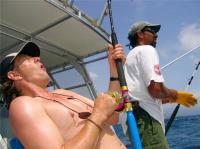 TheGrenadinesCollection