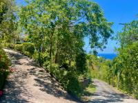 TheGrenadinesCollection