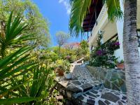 TheGrenadinesCollection