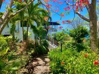 TheGrenadinesCollection